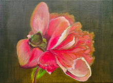 Load image into Gallery viewer, Pink Peony- Classical Realism