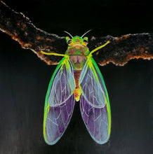 Load image into Gallery viewer, Wonder of Nature Insect- Hyperrealism
