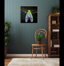 Load image into Gallery viewer, Wonder of Nature Insect- Hyperrealism