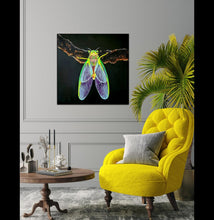 Load image into Gallery viewer, Wonder of Nature Insect- Hyperrealism