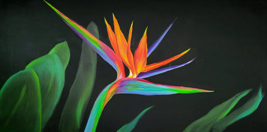 Bird of Paradise-Classical Realism